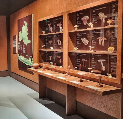 Museo Micológico de Monesterio