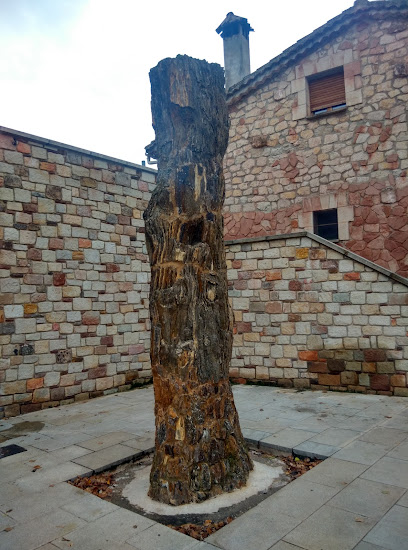 Árbol Fósil Nº 1