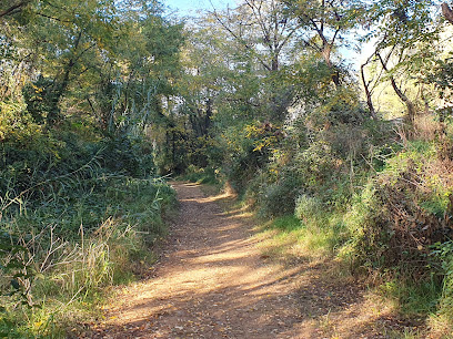 Camí fluvial del riu Tenes