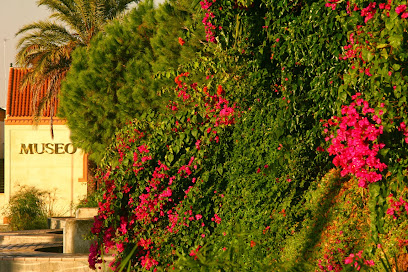 Museo De Alcalá De Guadaíra