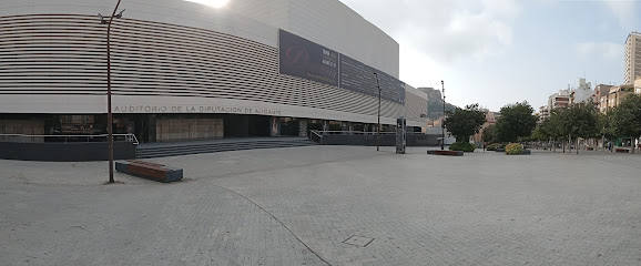 Auditori