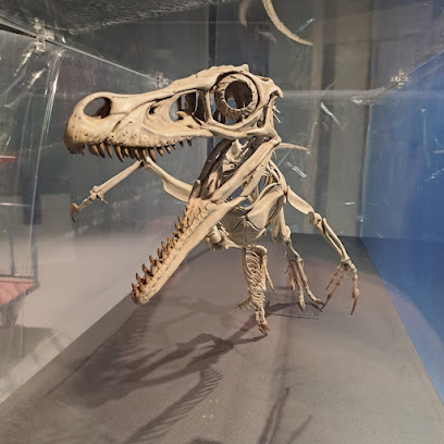 Museu de la Conca Dellà