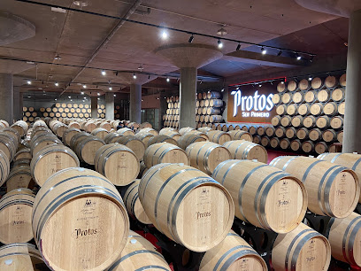 Visitas guiadas Protos