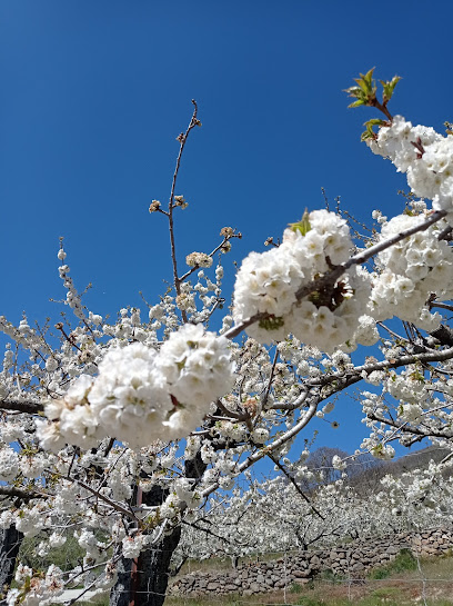 Finca Cerezos Tornavacas