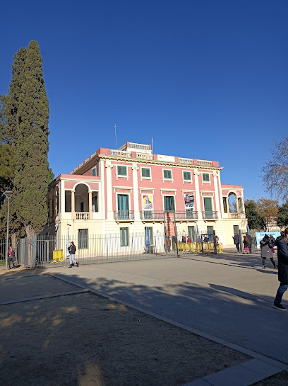 Centre de la Imatge Mas Iglesias