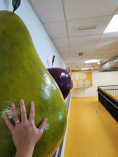 Centro de interpretación floral 