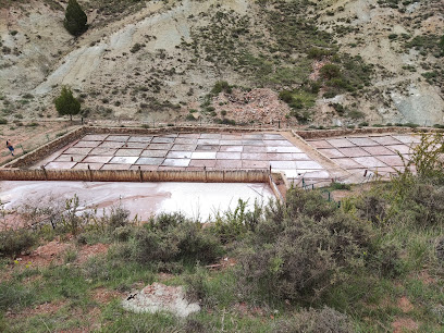 Salinas de Royuela