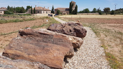 Troncos fósiles Arevalillo de Cega