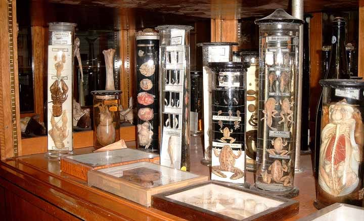 Museo de Historia Social y Ambiental de Wuppertal