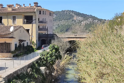 Pont d'en Barona