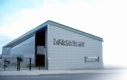 Museo del Azulejo Manolo Safont