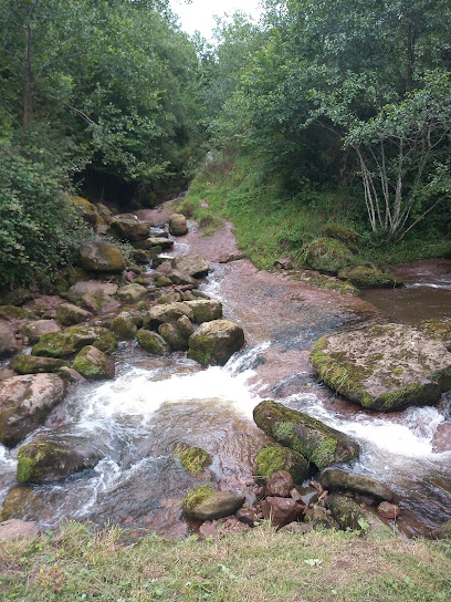 Fuente de Bustriguado