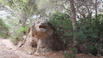 Sa Lleona