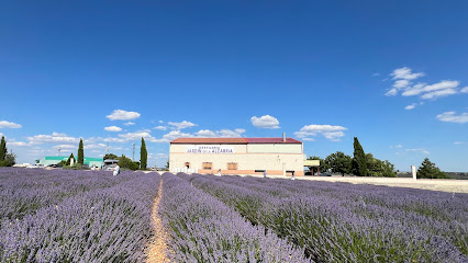 Destilería Jardín de la Alcarria