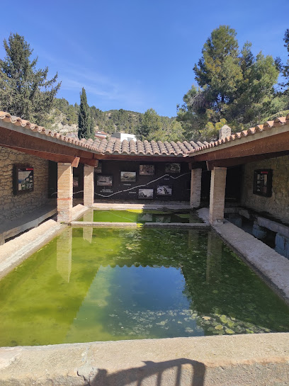 Safareig de Vallbona