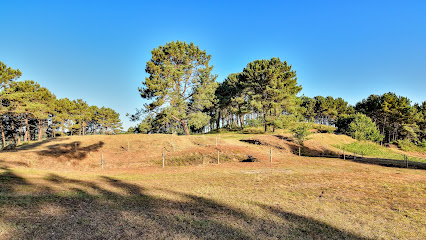 Castro grande de Neixón
