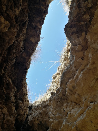 El Castillo (Cuevas Prehistóricas)