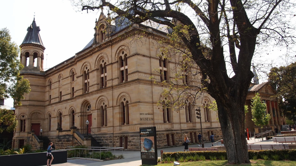 Museo de Australia del Sur