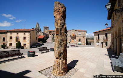 Museo del Árbol Fósil