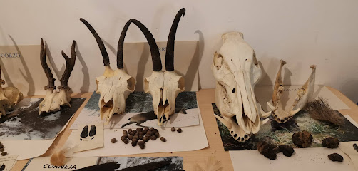 Centro de Interpretación de Ansó