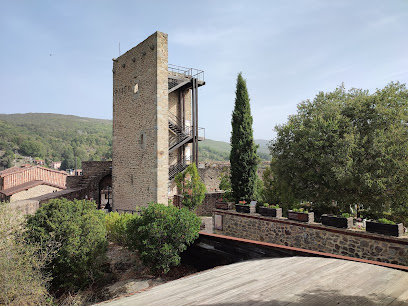 El Castillo de la Biosfera