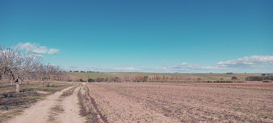Finca Experimental 'La Higueruela'