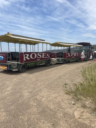 Roses Express
