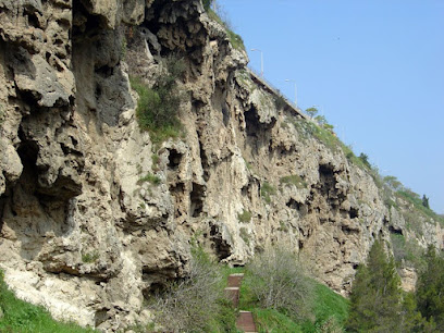 NEAN Parc Prehistòric de Capellades