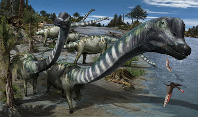 Museo de los Dinosaurios