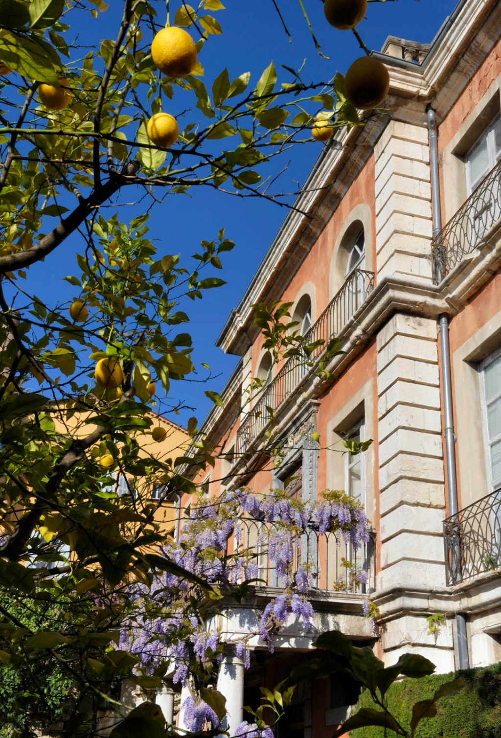 Museo de Arte e Historia de Provence