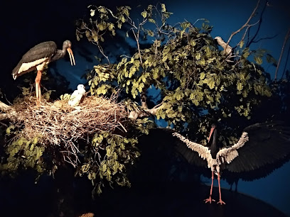 Centro de Interpretación Horcajo