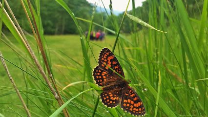 Punto de Información Red Natura 2000 en Valles Pasiegos - Naturea Cantabria