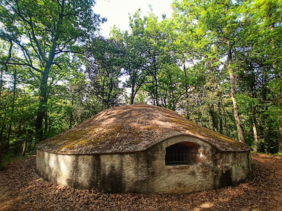 Pou de Glaç de Buscastell