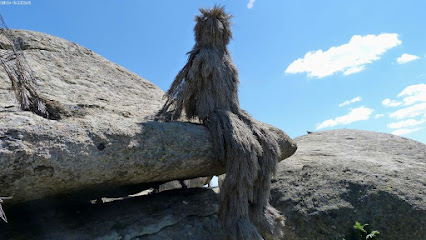 Centro de Arte y Naturaleza Cerro Gallinero