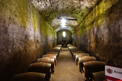 Museo Del Vino. Irache