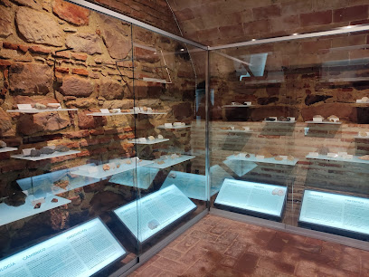 Museo Arquelógico
