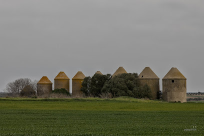 Silos Milenarios de Trigueros
