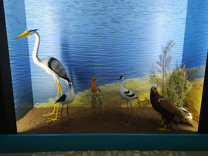 Centro de interpretación Reserva Natural Lagunas de Campillos