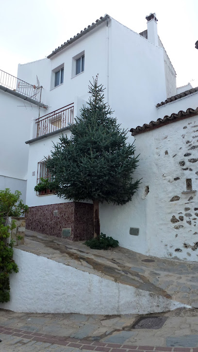 Museo de la Castaña