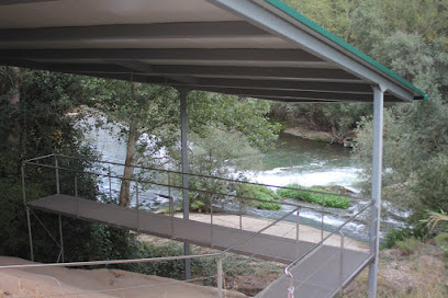 Gravats De Mas De N'Olives