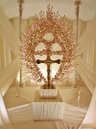 Museo de la Santa Cruz