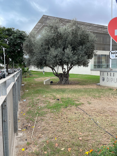 Diputación de Málaga - Sala de Exposiciones EntreEdificios