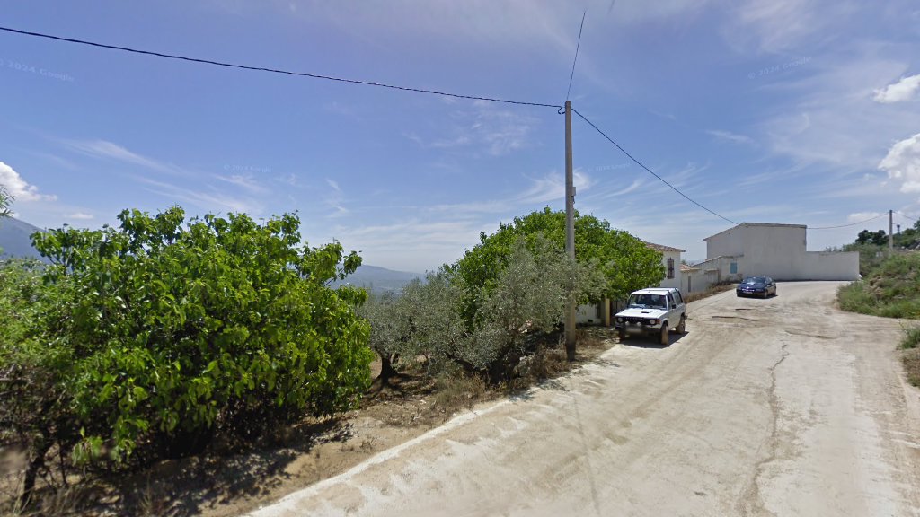 Olivos Centenarios
