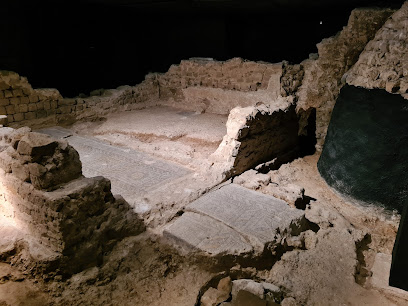 Domus Romana y Silo Medieval