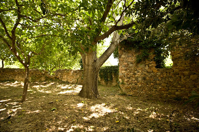 Museu d'Història de Cambrils- Molí de l'Ardiaca