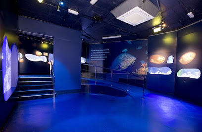 CIMAR-Centro de Interpretación del Mar-Aquarium
