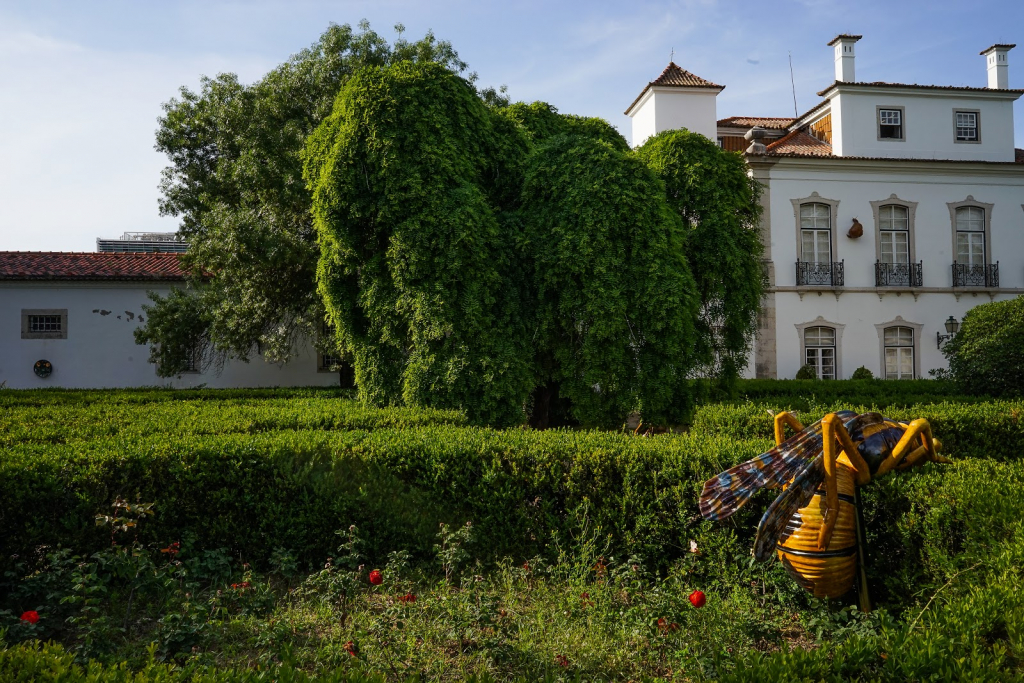 Museo de Lisboa / Palacio Pimenta