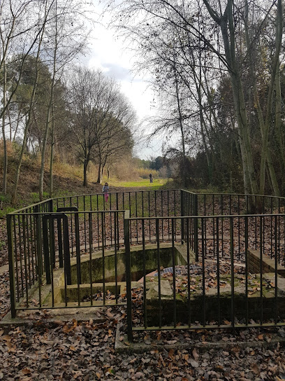 Sínia de Can Gambús