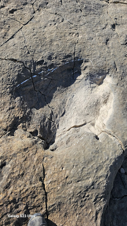 Las Navillas Huellas de Dinosaurio