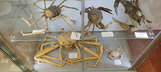 Museo Valenciano de Historia Natural